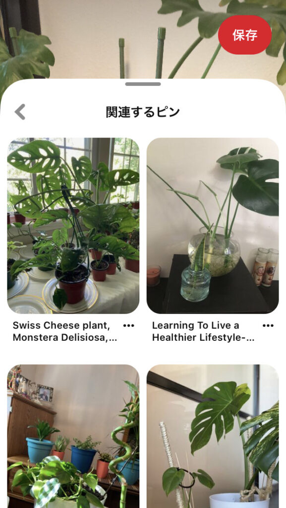 Pinterestレンズ‐関連するピン表示画面2