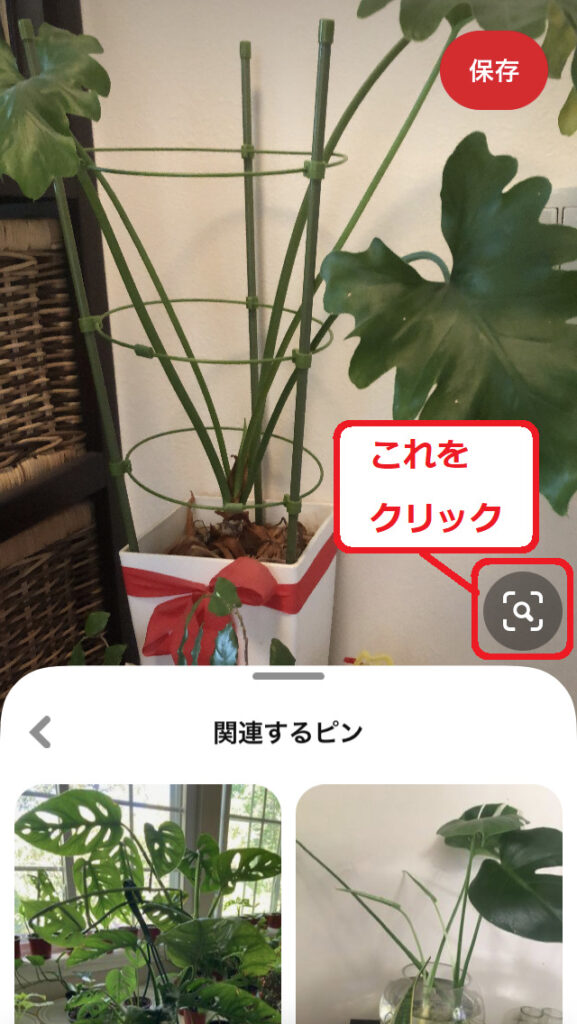 Pinterestレンズ‐画像指定1
