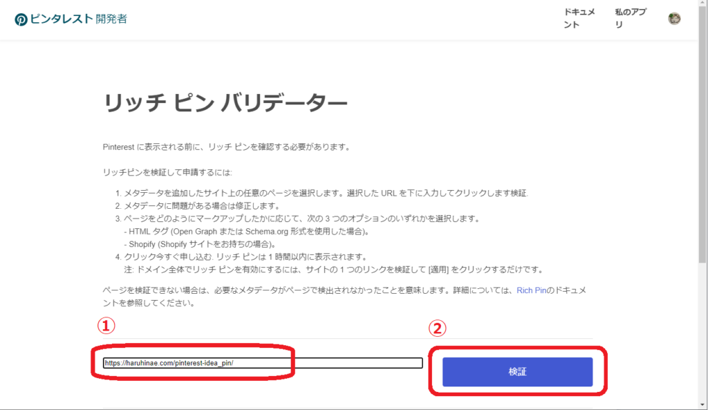 リッチピン検証ツール-URL入力
